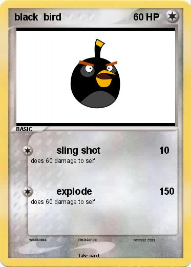 Pokemon black  bird