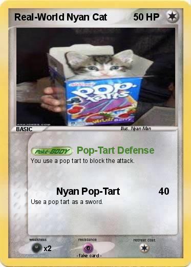 Pokemon Real-World Nyan Cat