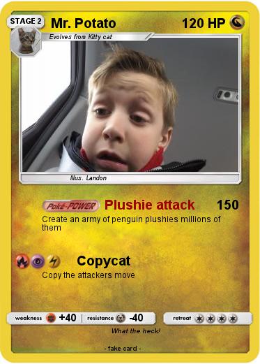 Pokemon Mr. Potato