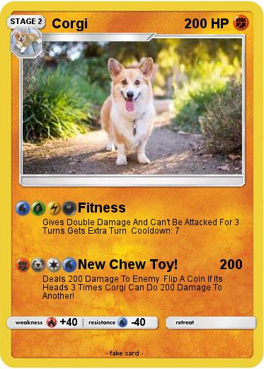 Pokemon Corgi