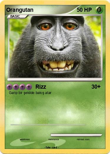 Pokemon Orangutan