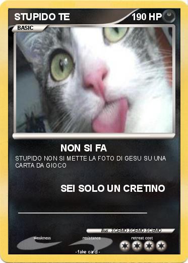 Pokemon STUPIDO TE