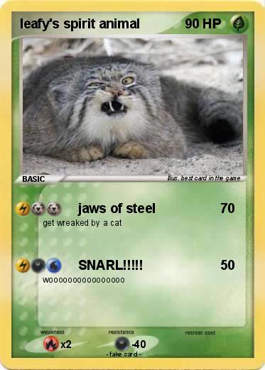 Pokemon leafy's spirit animal