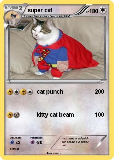 Pokemon super cat