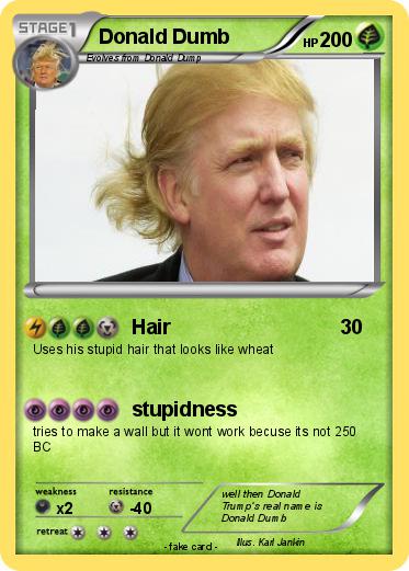 Pokemon Donald Dumb