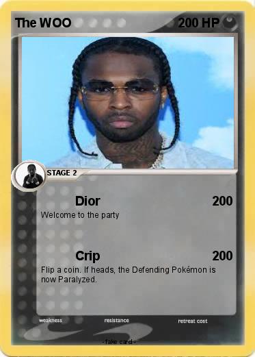 Pokemon The WOO