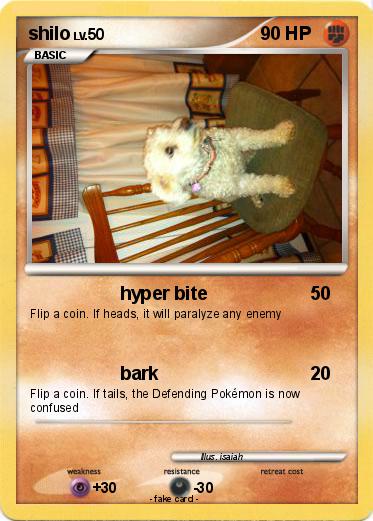 Pokemon shilo