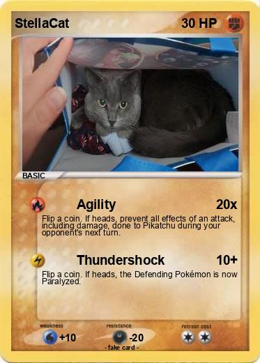 Pokemon StellaCat
