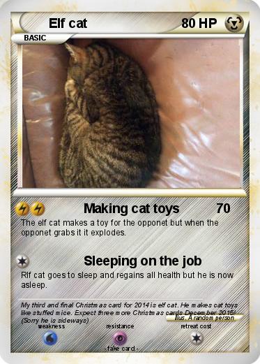 Pokemon Elf cat