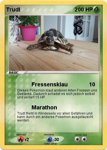 Pokemon Trudl