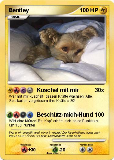 Pokemon Bentley