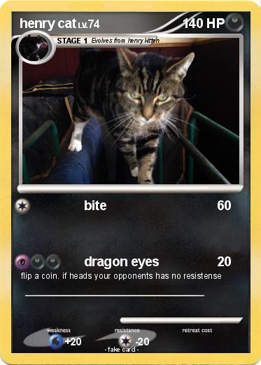 Pokemon henry cat