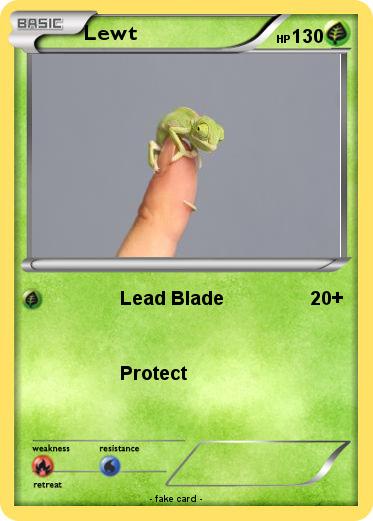 Pokemon Lewt