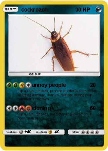 Pokemon cockroach