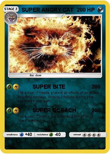 Pokemon SUPER ANGRY CAT