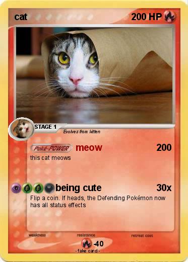Pokemon cat