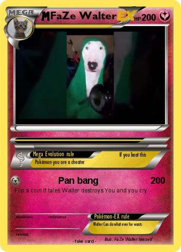 Pokemon FaZe Walter