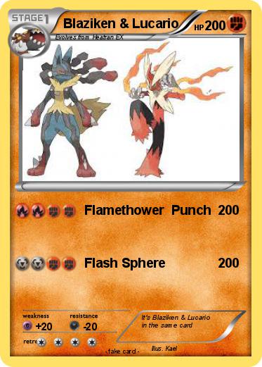 Pokemon Blaziken & Lucario