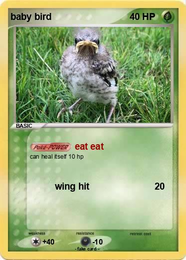 Pokemon baby bird