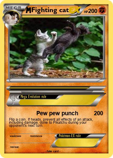 Pokemon Fighting cat