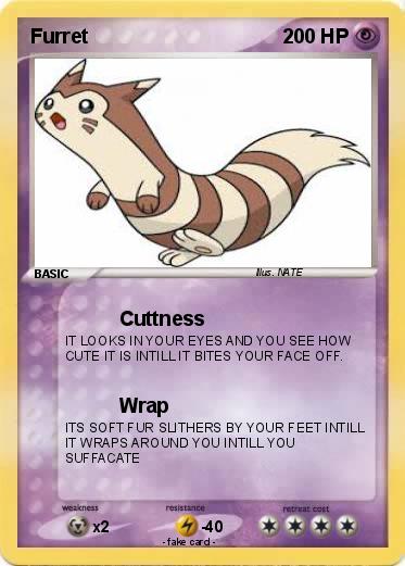 Pokemon Furret