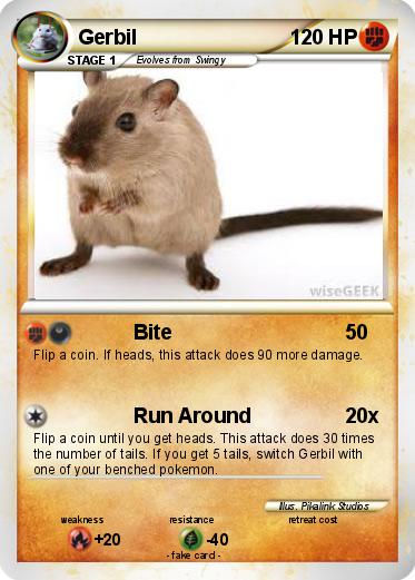 Pokemon Gerbil