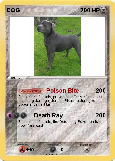 Pokemon DOG
