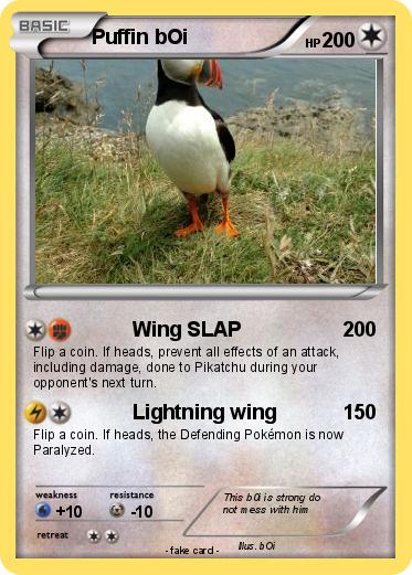 Pokemon Puffin bOi