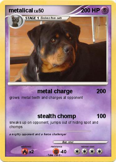 Pokemon metalical