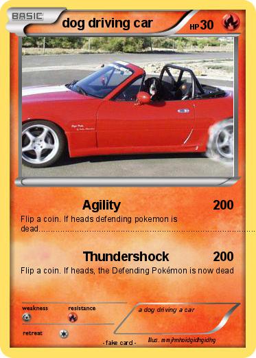 Pokemon dog driving car