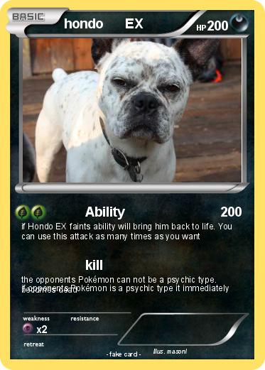 Pokemon hondo      EX
