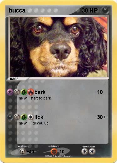 Pokemon bucca