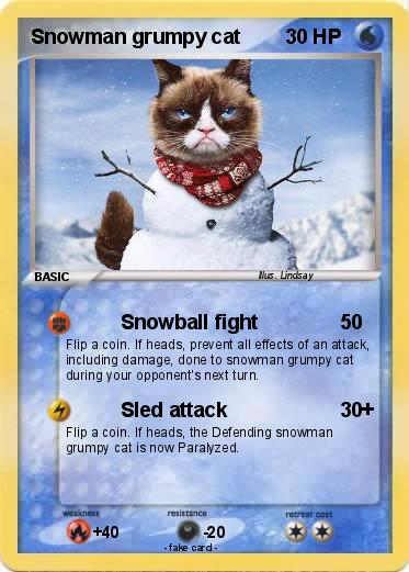 Pokemon Snowman grumpy cat