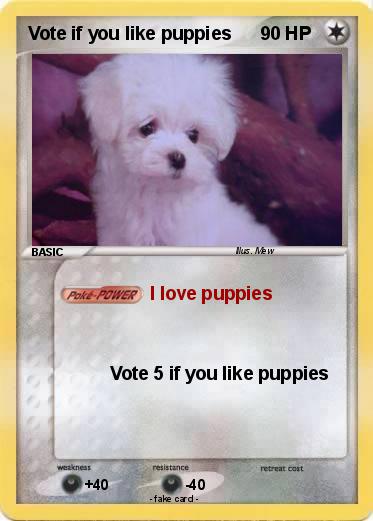 Pokemon Vote if you like puppies