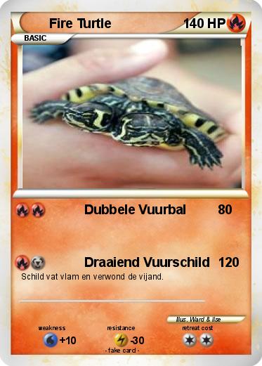 Pokemon Fire Turtle