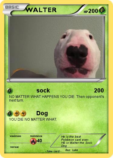 Pokemon WALTER