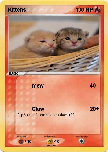 Pokemon Kittens