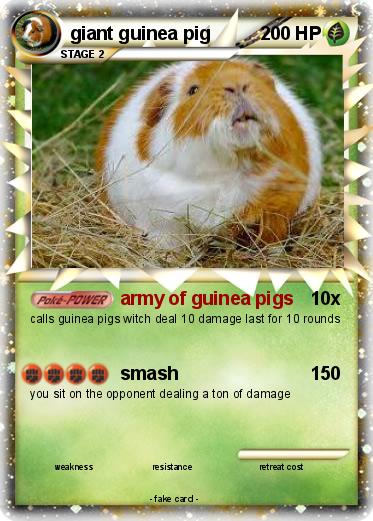 Pokemon giant guinea pig