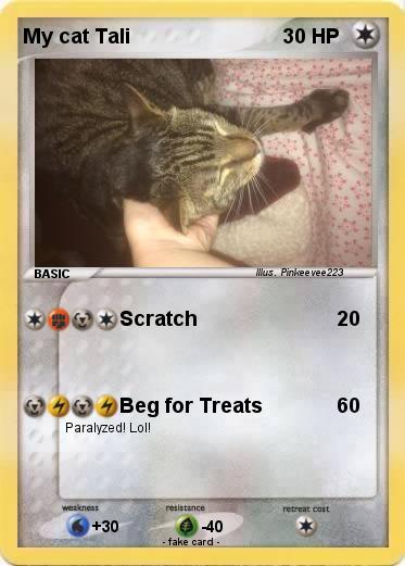 Pokemon My cat Tali