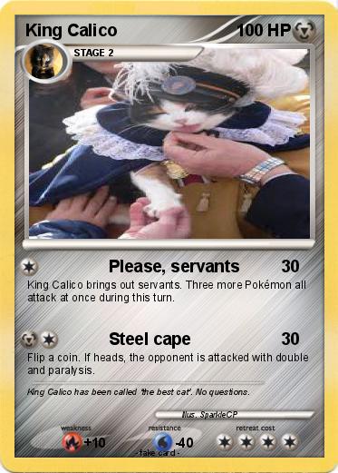 Pokemon King Calico