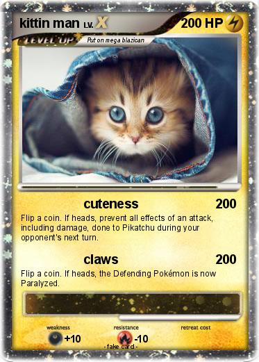 Pokemon kittin man