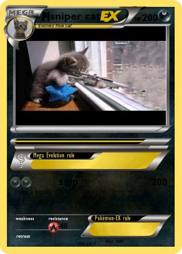 Pokemon sniper cat