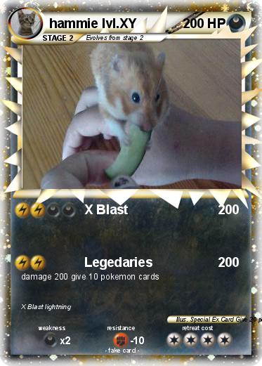 Pokemon hammie lvl.XY