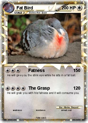 Pokemon Fat Bird