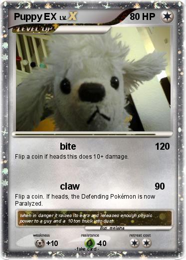 Pokemon Puppy EX