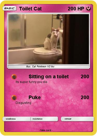 Pokemon Toilet Cat