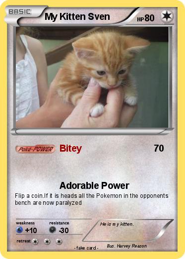 Pokemon My Kitten Sven
