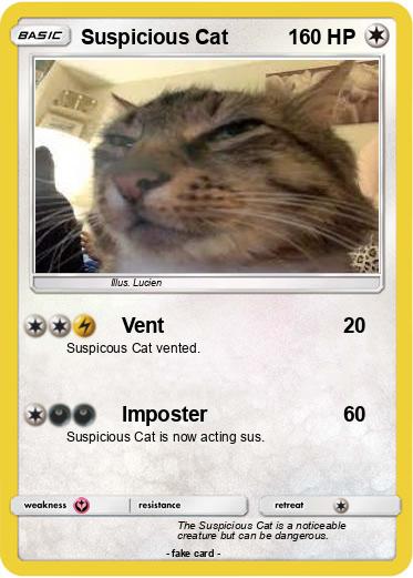 Pokemon Suspicious Cat