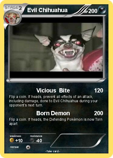 Pokemon Evil Chihuahua