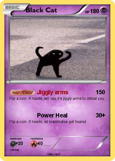 Pokemon Black Cat